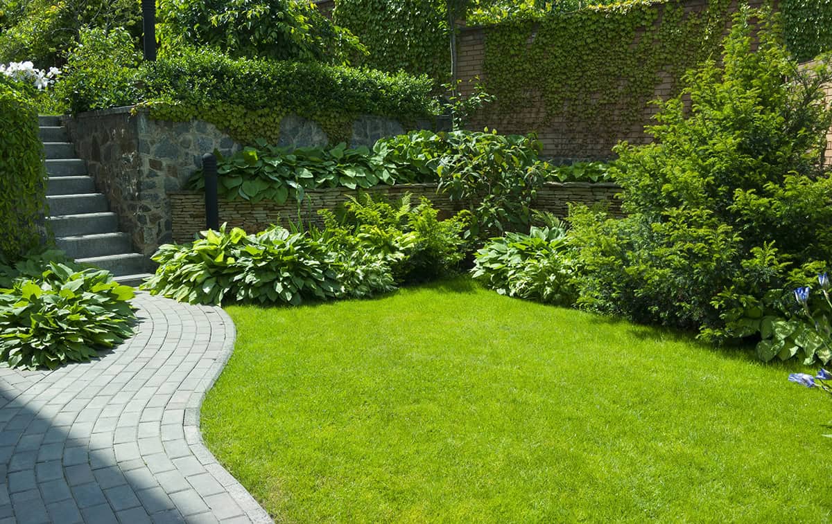 Clean Lawn Edges