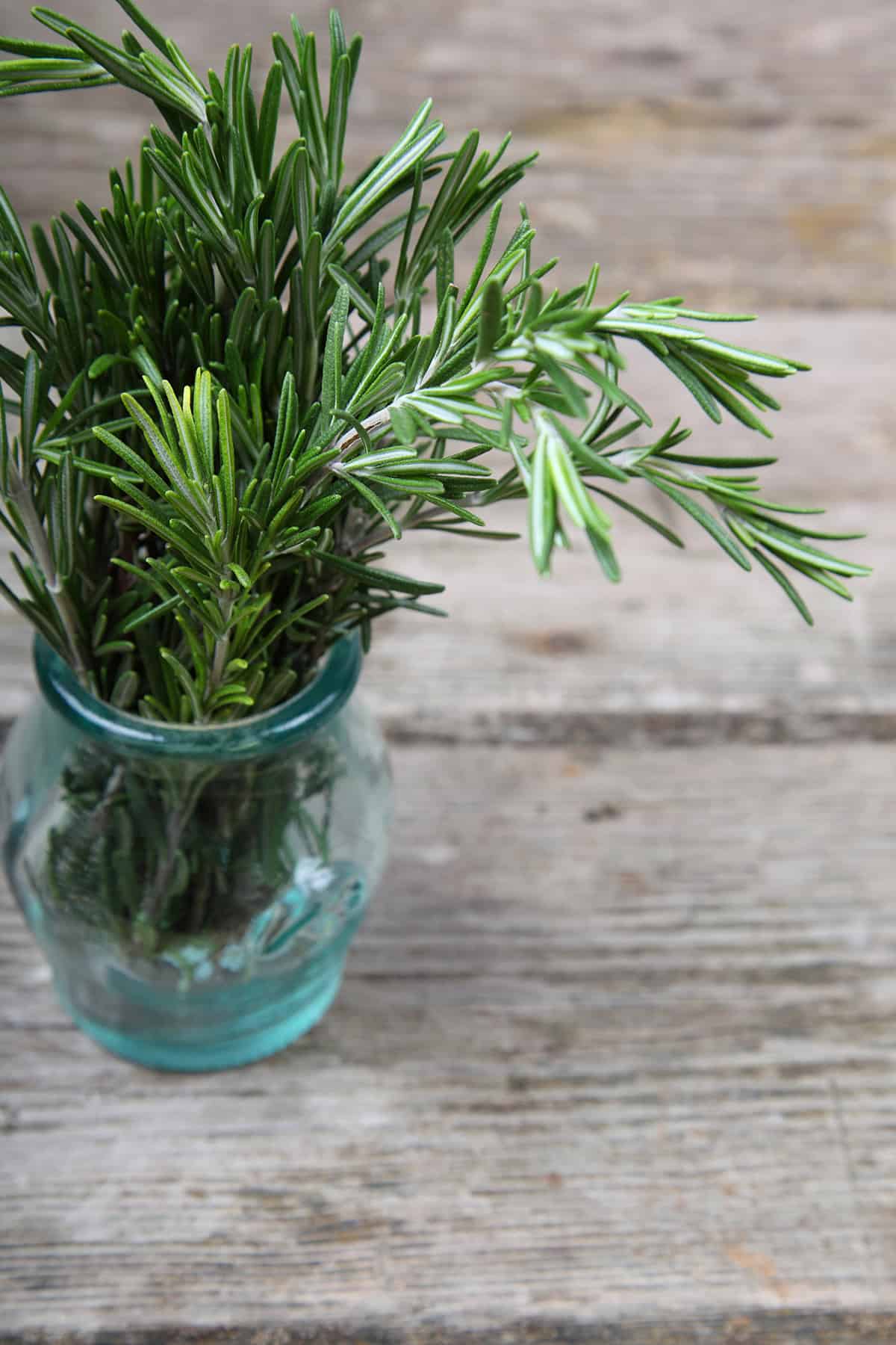From Cuttings