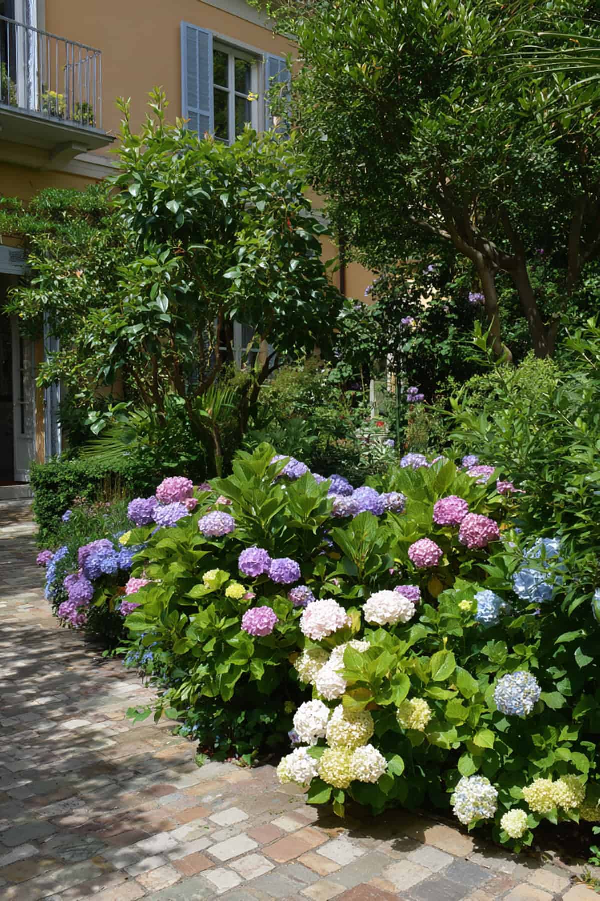 Group Plants In Clusters