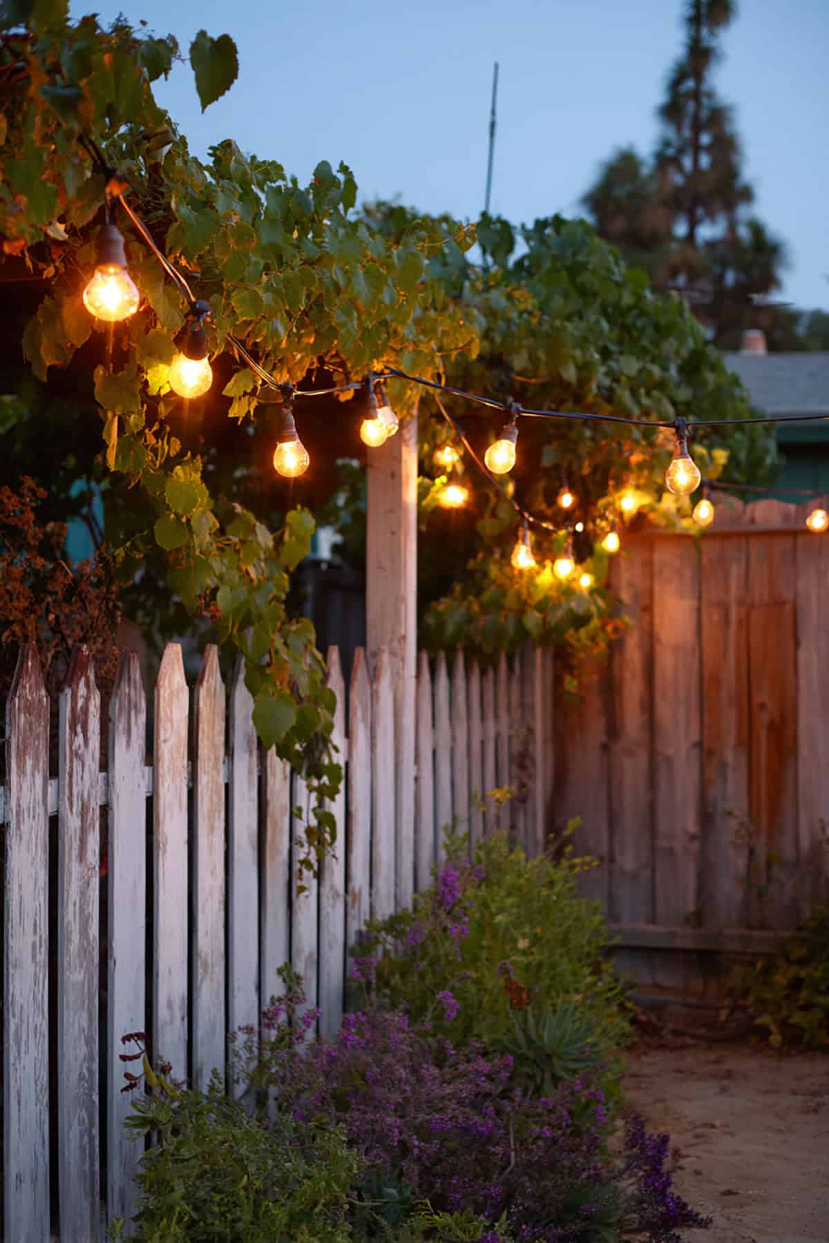Hang String Lights