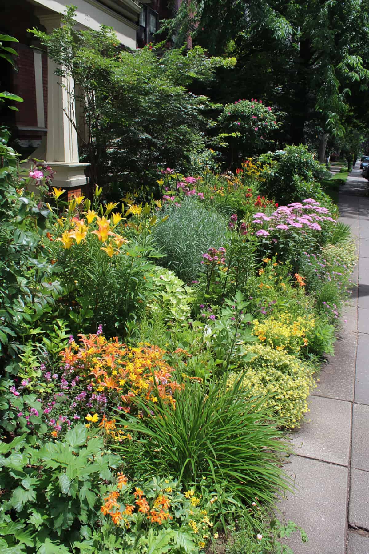 Layer Plants By Height