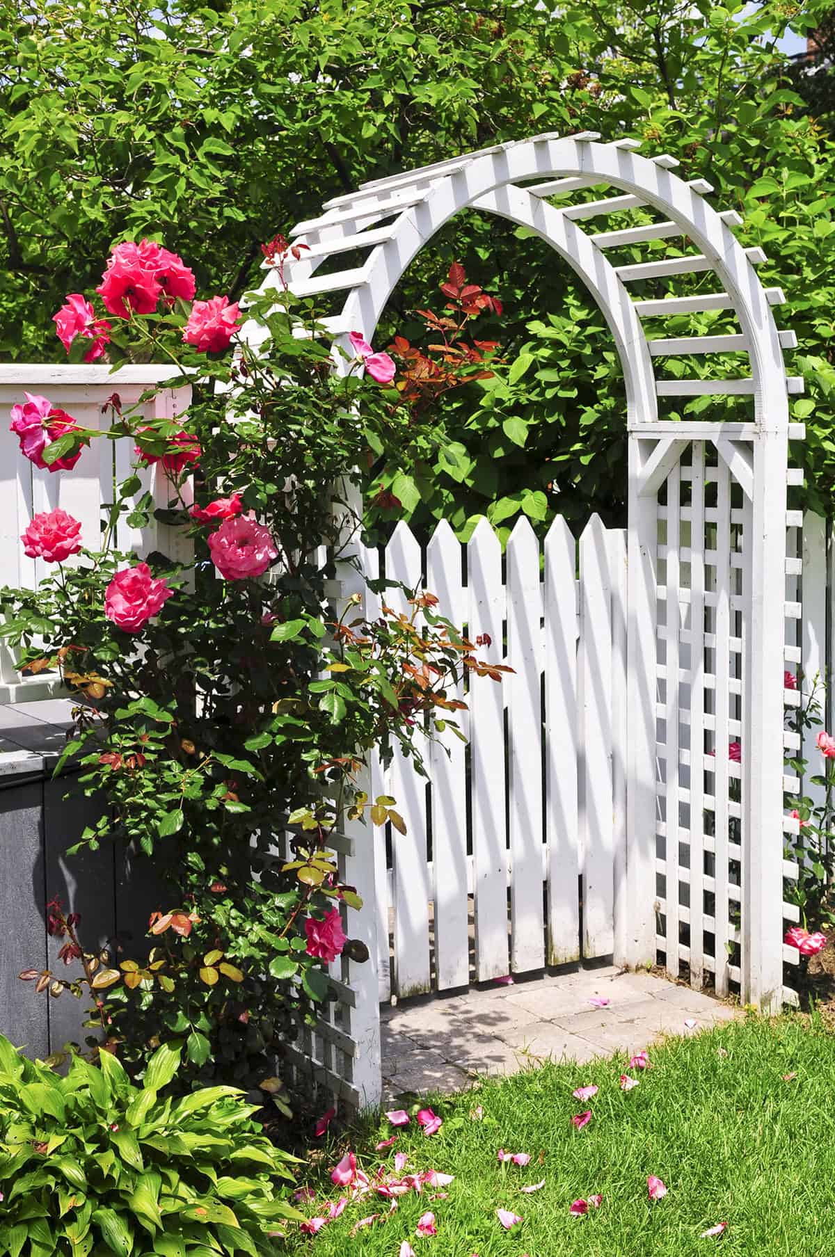 Paint The Fence