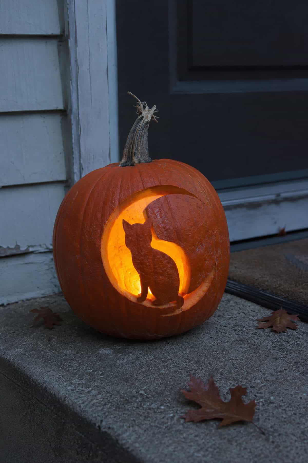 Black Cat And Crescent Moon Pumpkin