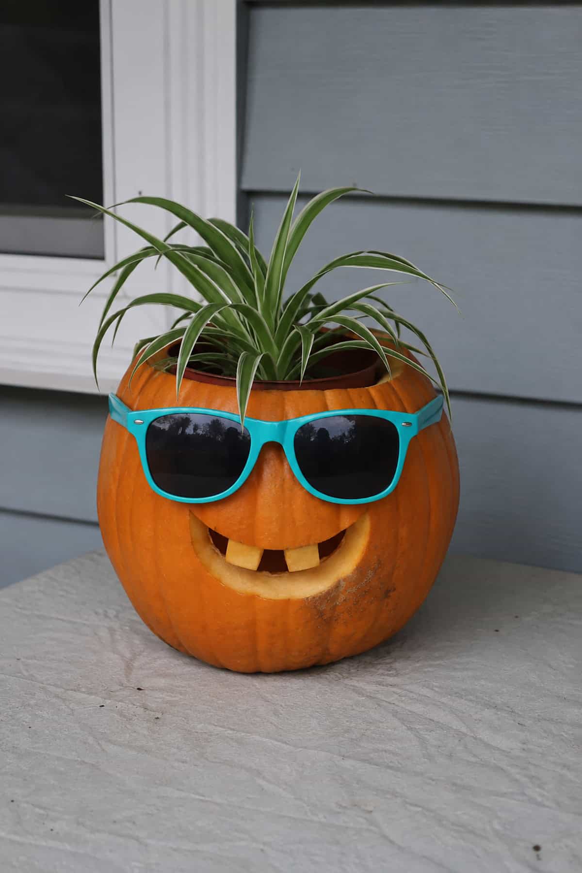 Cool Pumpkin Planter With Sunglasses