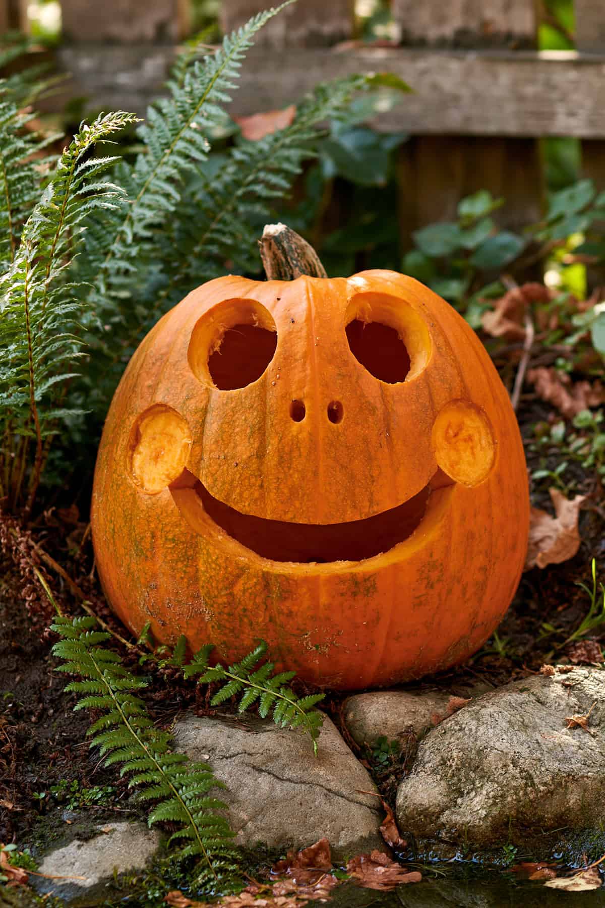 Frog Face Pumpkin