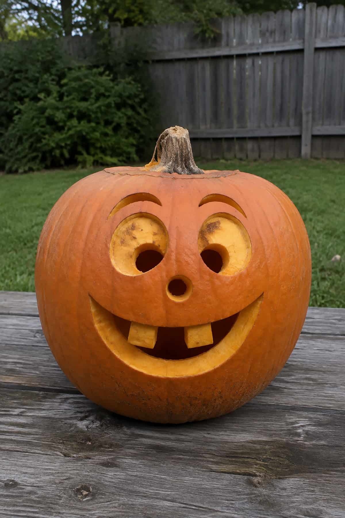 Happy Smiling Pumpkin