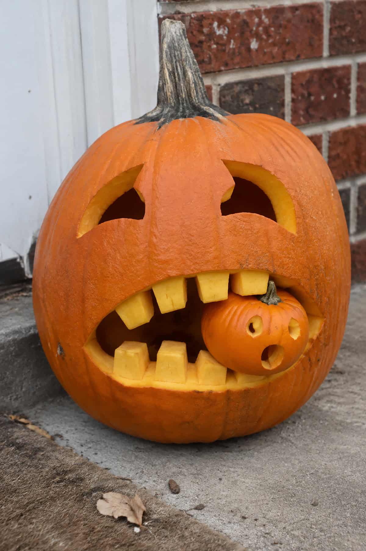 Pumpkin Eating A Tiny Pumpkin