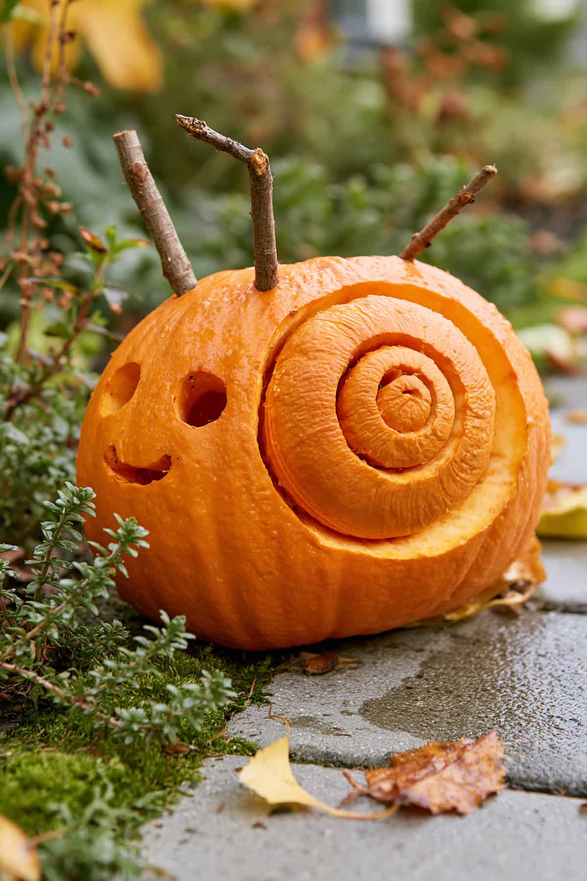 Snail Pumpkin