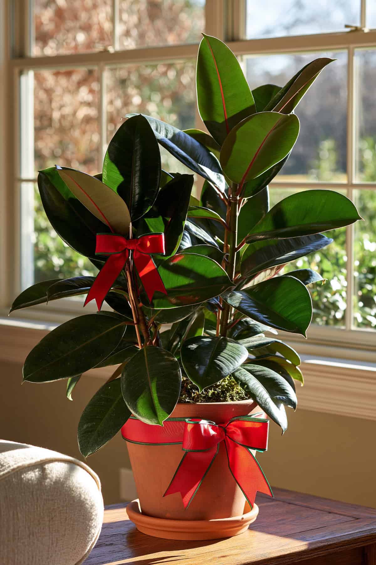 Add Small Bows to Stems