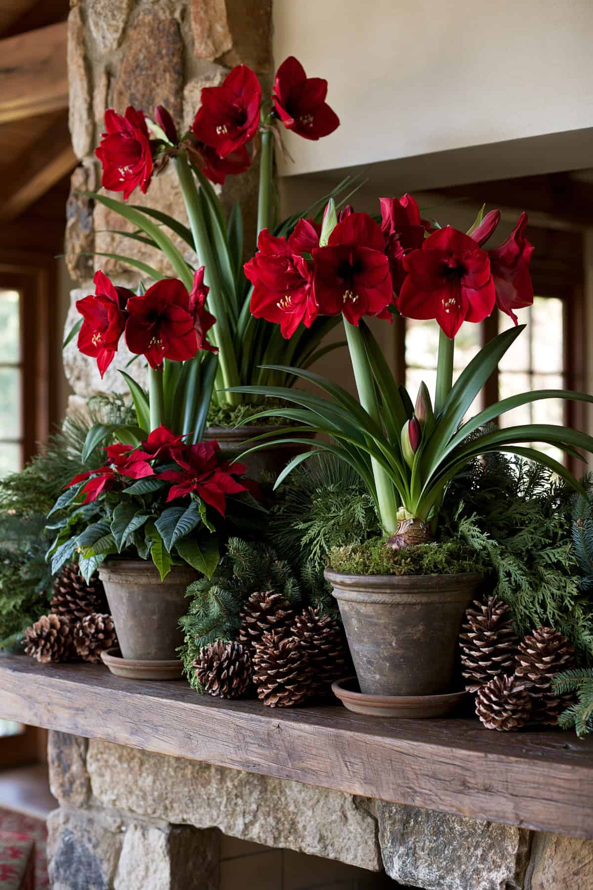 Amaryllis And Pinecone Woodland Mantel