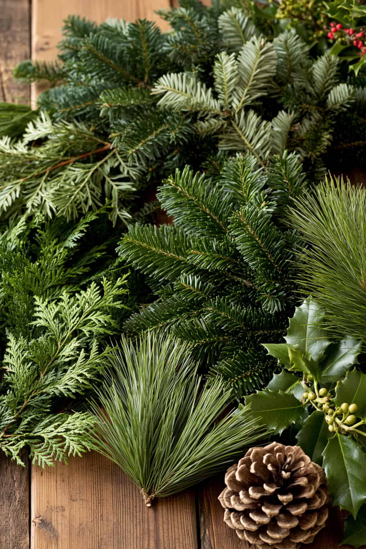 Best Evergreen Branches to Use for a Wreath