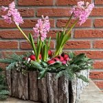 DIY Christmas Planters on a Budget