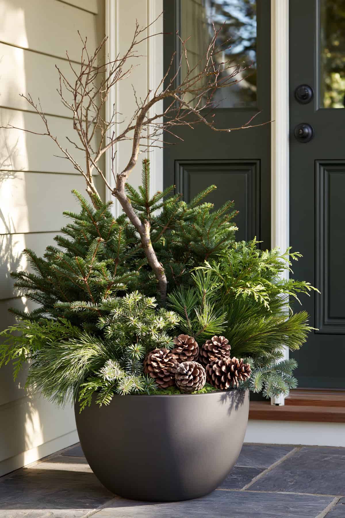 Minimal Evergreen Planter With One Statement Branch
