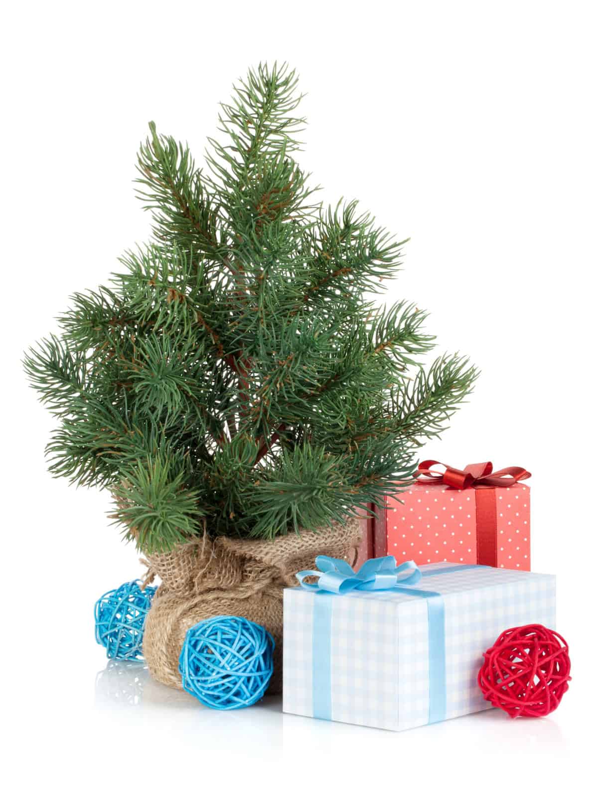 Place Mini Gift Boxes Around Pots