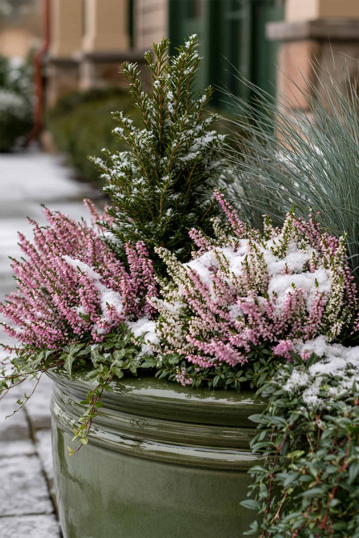Snow-Dusted Evergreen And Heather Pot