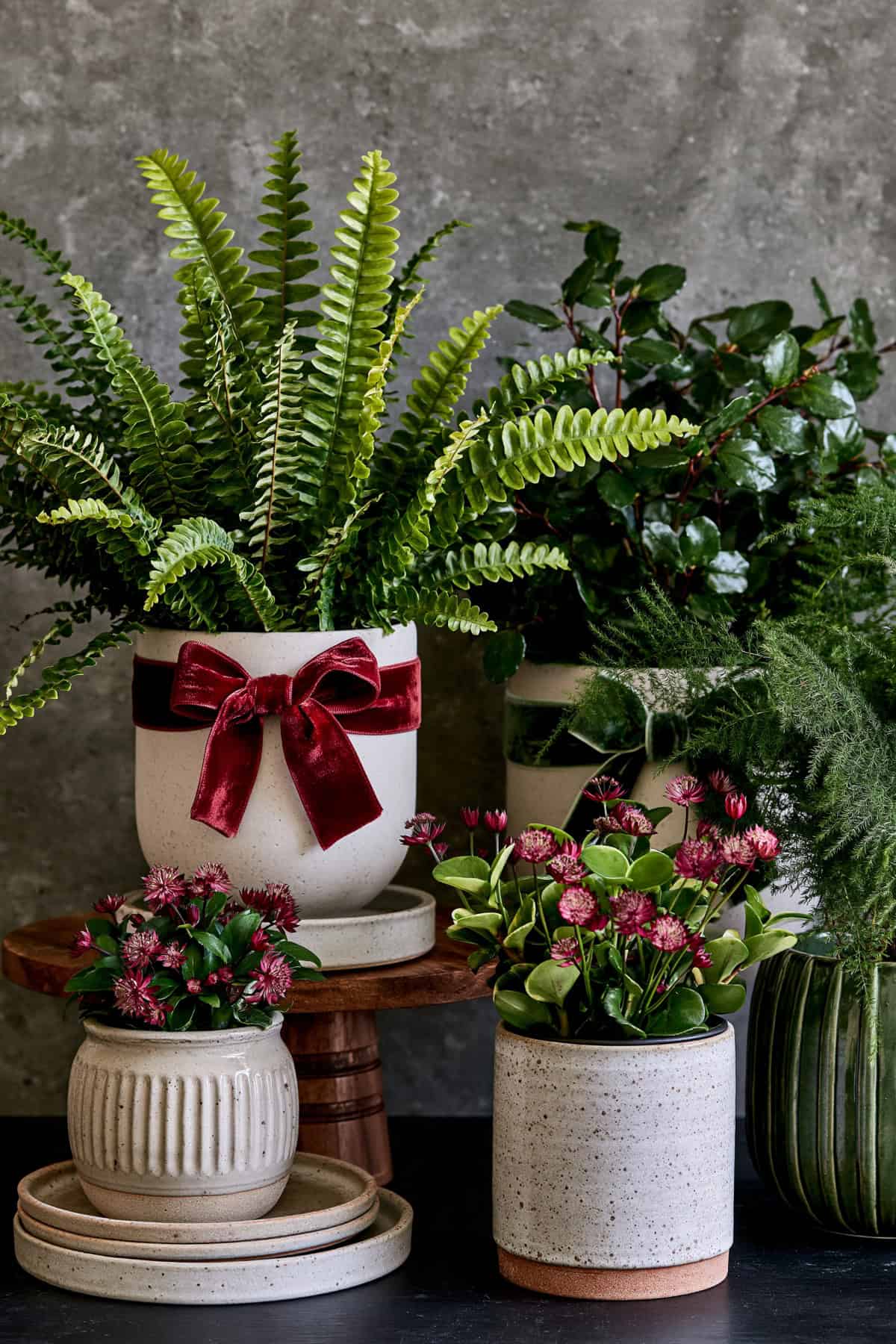 Tie Velvet Ribbons Around Pots