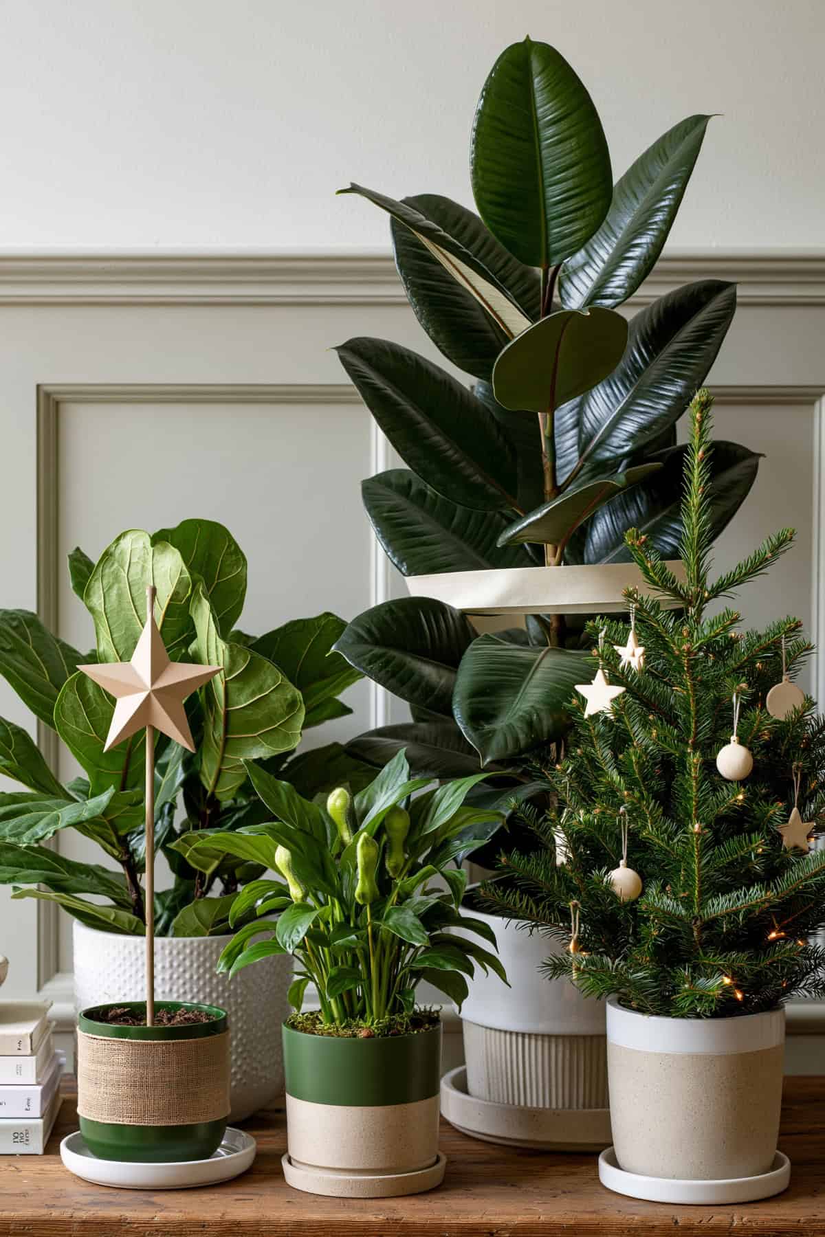Try a Neutral Christmas Plant Display