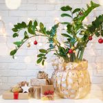 Ways to Decorate Your Houseplants for Christmas
