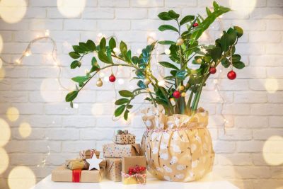 Ways to Decorate Your Houseplants for Christmas