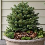 Winter Container Garden Ideas