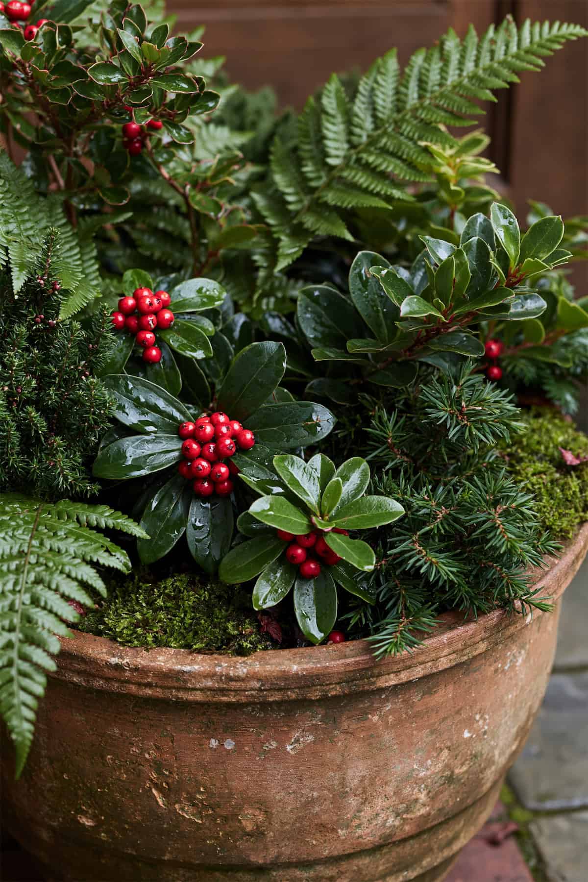 Wintergreen And Fern Porch Pot