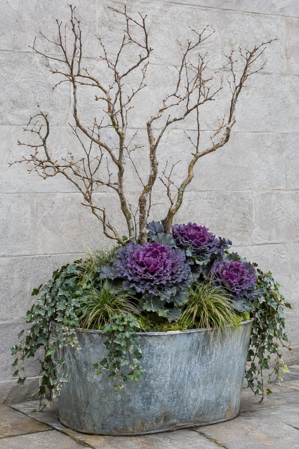 Bare Branches With Ornamental Kale And Ivy