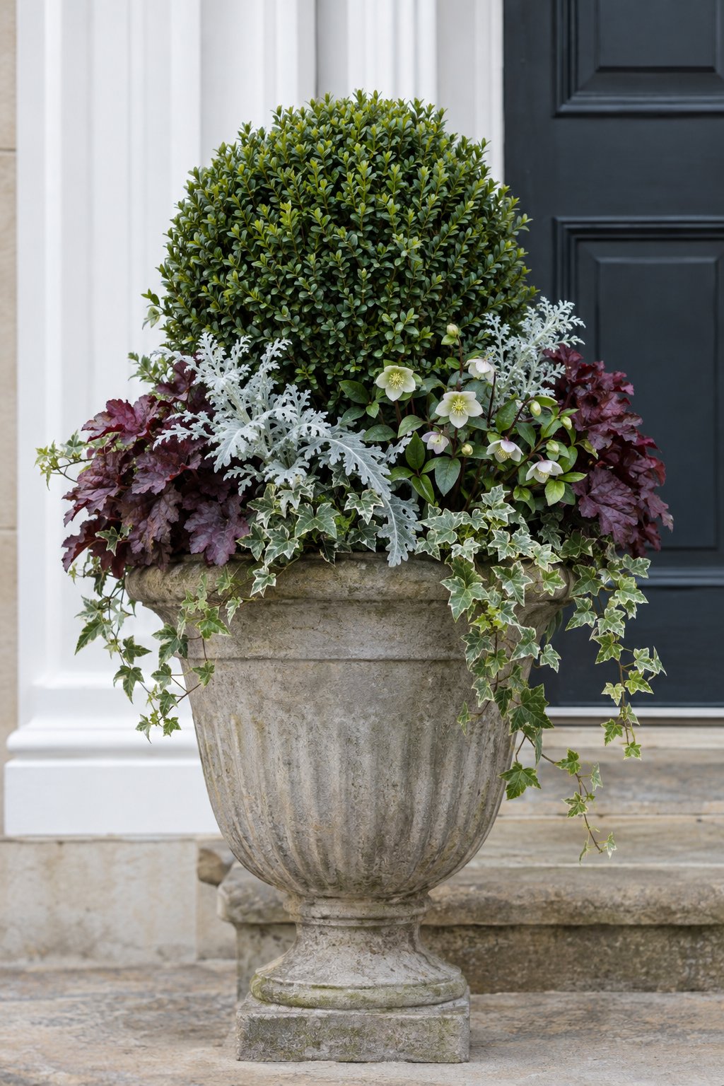 Boxwood Sphere With Layered Winter Foliage